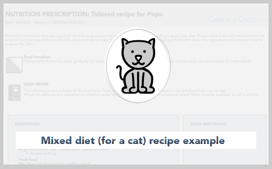 recipe for a cat